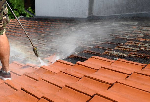 Best Exterior Home Cleaning  in New Carrollton, MD