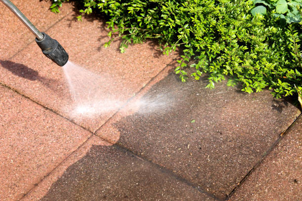 Best House Pressure Washing  in New Carrollton, MD